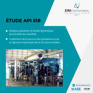 Etude pulsatoire API 618