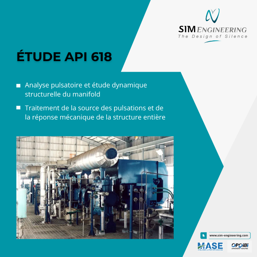 Etude pulsatoire API 618